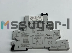1PZ Nuovo Allen-Bradley 700-HLT1Z24 MORSETTIERA RELÈ CON RELÈ 700HLT1Z24 #Z - Foto 1 di 8