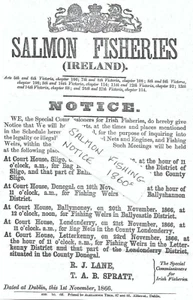 SALMON FISHERY NOTICE, BALLYSHANNON, COUNTY DONEGAL 1866. SIZE 8ins x 12ins. - Picture 1 of 1
