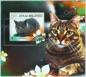 A0972 - MALDIVAS, ERROR, MISPERF, hoja de recuerdos: 2014, gatos, pelo corto británico - Imagen 1 de 1