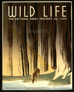 Wild Life The National Parks Preserve Life Vintage High Res 8x10 Fine Art Giclee - Bild 1 von 1