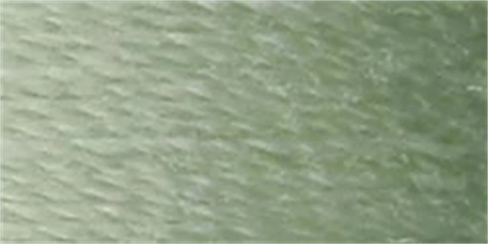 Coats Dual Duty XP General Purpose Thread 250yd-Light Green Linen (3Pk) - Image 1 of 1