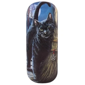 Anne Stokes, Lisa Parker Glasses Case, Moon Witch, Black Cat, Unicorn, Fantasy - Picture 1 of 25