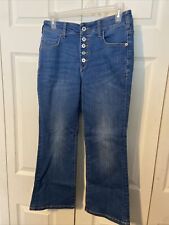 Anthropologie Pilcro and the Letterpress High Rise Flare Bootcut Button Fly 28P
