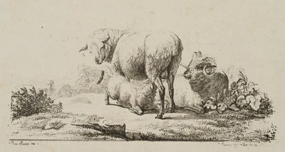 Schafsfamilie auf der Wiese,  1805, Lithographie Realismus Unbekannt (19.Jhd) - Bild 1 von 4