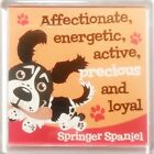 Wags And Whiskers Dog Magnet Springer Spaniel Black And White By Paper Island