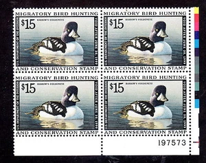 RW65 15 $ Plate Block of 4 MNH PL#197573 Barrow's Goldeneye 1998 - Bild 1 von 1