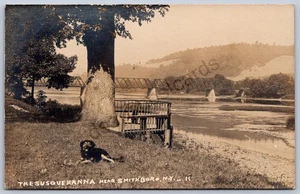 K32/ Smithboro New York RPPC Postcard c1910 Susquehanna Bridge Dog 1450 - Picture 1 of 2