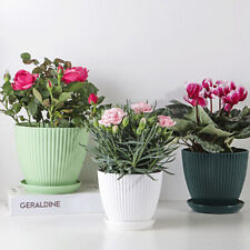 Flower Pots Artificial Succulent Plants Plastic Decorative Nursery Pots