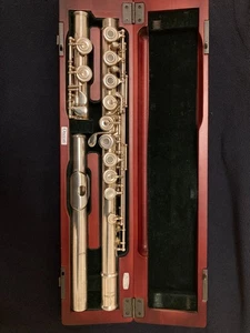 Pearl Flutes PF-695 RE - Foto 1 di 9