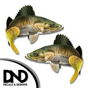 Walleye - Fish Decal Fishing Tackle Box Bumper Sticker "3in SET" F-1080 D& - Picture 1 of 1