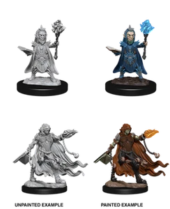 WizKids Pathfinder Deep Cuts™ - Evil Wizards miniatura da dipingere - Foto 1 di 2