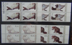 Moldova 2007 Cats set in blocks x 4 MNH - Picture 1 of 1
