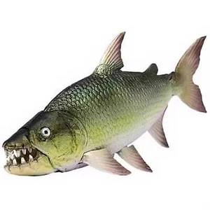 Afrika Goliath Tigerfisch Tigerfisch PVC Actionfigur Modell mit Gelenken B - Bild 1 von 2