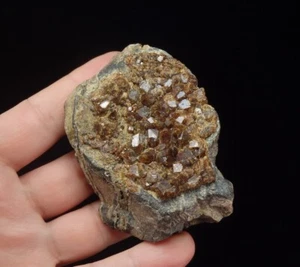 GARNET var. ANDRADITE crystals on skarn ! AZERBAIJAN Caucasus - Dashkesan /ph226 - Picture 1 of 12