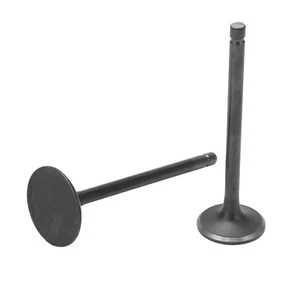√ Exhaust Intake Valve Kit Black Exhaust Intake Valve Set Replacement For XG250 - Picture 1 of 12