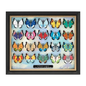 Pokemon Pin Vivillon 20 Patterns Pins Frame Set Pokemon Center Japan Original - Picture 1 of 16