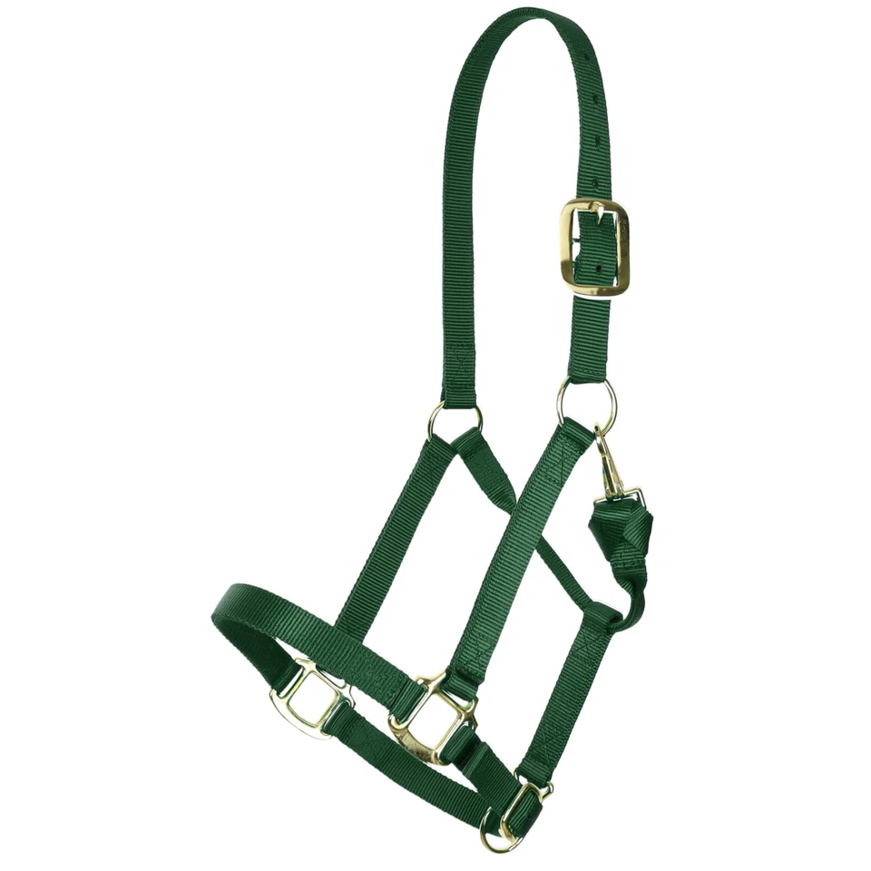 Halter Showman Deluxe Nylon Halter con Clip Garganta Corona Ajustable y Nariz Foto 1 de 1