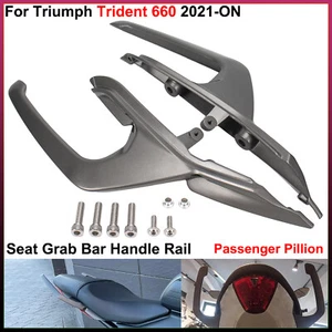 Haltegriff Griffstange hinten Beifahrersitz - für Triumph Trident 660 ab 2021 2022 - Bild 1 von 19