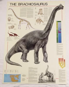 (PRL) 1994 THE BRACHIOSAURUS GIURASSICO PERIODO VINTAGE AFFICHE ART PRINT POSTER - Picture 1 of 3