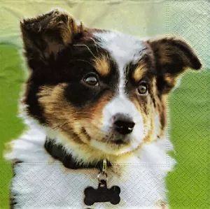 Full package of (20) Paper Lunch/Party Napkins - Sweet Dog playing in grass - Picture 1 of 1