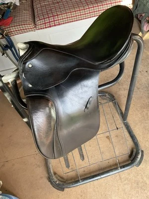 Passier Grand Gilbert Foto 1 de 4