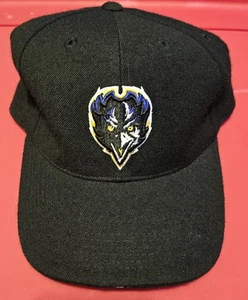 Baltimore Ravens Hat NFL Nike Official Sideline Equipment Logo Size 7 1/4 Black - Picture 1 of 10