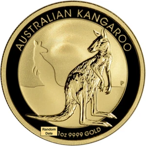 Australia Gold Kangaroo - 1 oz - $100 - BU - Random Date - Picture 1 of 3