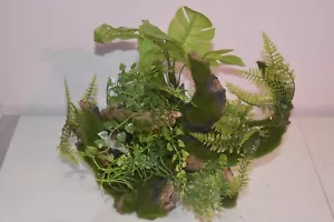 Atemberaubend Groß Aquarium Aquascape Grün Pflanzen Auf A Wurzel Ca. 28 x 17 - Bild 1 von 8