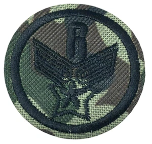 Parche coser y planchar ropa bordada sombreros chaquetas abrigo rayas militares A509 - Imagen 1 de 3