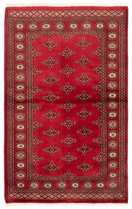 Traditional Hand-Knotted Bordered Area Rug 3'1" x 4'11" Wool Carpet - Picture 1 of 9