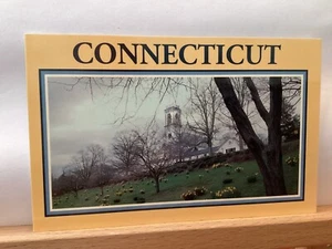 Bright Yellow Daffodils on Church Hill: Essex, CT - Vintage Postcard - Picture 1 of 3