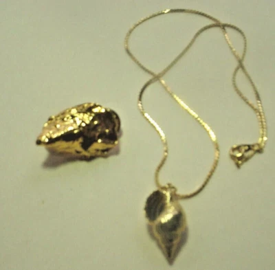 Collar colgante de concha de 2 piezas y broche prendedor fino Peter Clam Shell GG Harris Foto 1 de 4