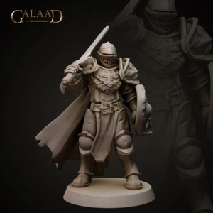 Caballero B - Paladín - Miniaturas Galaad - Mazmorras y Dragones - Imagen 1 de 2