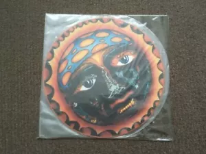 Sublime / 40oz. to Freedom 12" PictureDisc Vinyl 2002 EU Edition LP Skunk Record - Picture 1 of 2