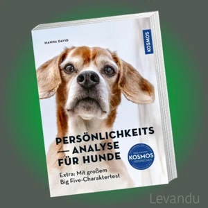 PERSÖNLICHKEITSANALYSE FÜR HUNDE | Extra: Mit großem Big Five-Charaktertest - Bild 1 von 3