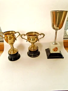Antica tazza trofeo EPNS 3 tazze trofeo 1 antica James Tiptaft 2 vintage - Foto 1 di 16