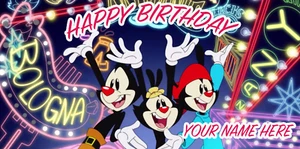 Striscione Compleanno Personalizzato 4ft x 2ft Animaniacs 2020 - Foto 1 di 1