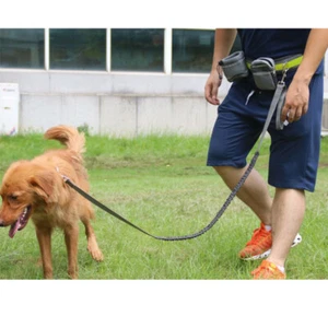 Verstellbare freihändige Hundeleine Laufen Gehen Training Gürtel für Haustiere - Bild 1 von 12