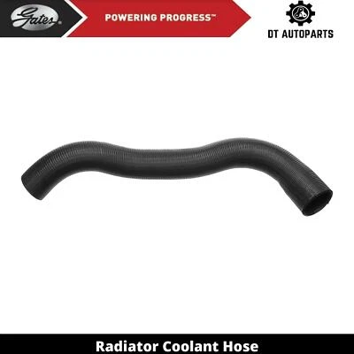For 2000-2002 GMC Savana 2500 Radiator Coolant Hose Lower Gates 2001 - Image 1 of 4