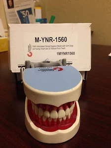 Columbia Dental Hygiene Model New Retail $425 - Picture 1 of 5