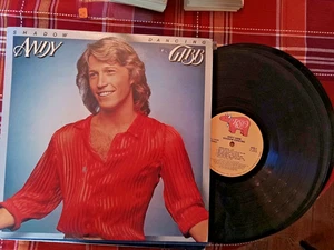 33 1/3 RPM LP Record    ANDY GIBB  Shadow Dancing  Nice VG+ - Picture 1 of 2