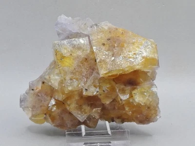 Fluorit Minerva Mine USA - Bild 1 von 4