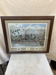 Through The  Trees by Maynard Reece Framed Wildlife Preservation Stamps 16x20 - Picture 1 of 9