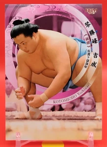 Tarjeta coleccionable Kotoshoho Yoshinari/luchador de sumo BBM TCG Japón japonés #35 - Imagen 1 de 10