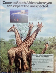 1984 South African Tourism Print Ad - Come to South Africa. Giraffes - Picture 1 of 2