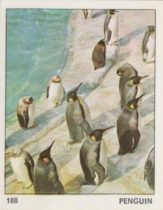 Top Sellers Card - Animals of The World - Card No 188 - Penguin - Picture 1 of 2
