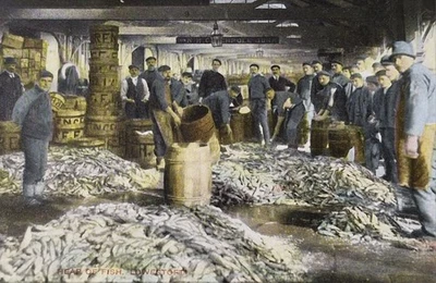 Heap Of Fish, Lowestoft, Vintage Postcard - Image 1 of 2