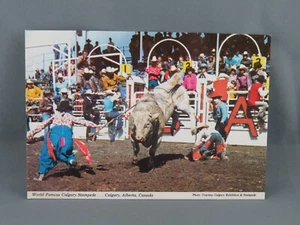 Vintage Postcard - Calgary Stampede Bull Riding Rodeo Clowns - Wilson's Superb - Picture 1 of 4