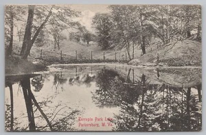 Parkersburg West Virginia~Fisherman @ Terrapin Park Lake~Trees Reflect~1910 piezas - Imagen 1 de 2