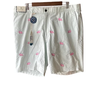 Castaway Nantucket Island Cisco Shorts Herren Gr. 40 Grün Baumwolle Flying Pigs Neu - Bild 1 von 10